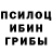 Галлюциногенные грибы мухоморы just tilt