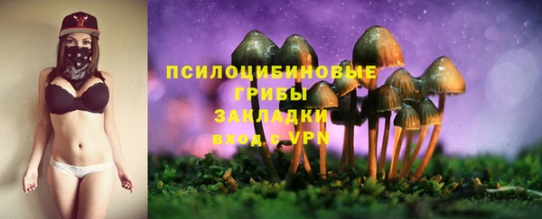 мяу мяу кристалл Бородино