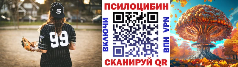 купить   Оренбург  mega зеркало  Галлюциногенные грибы Cubensis 